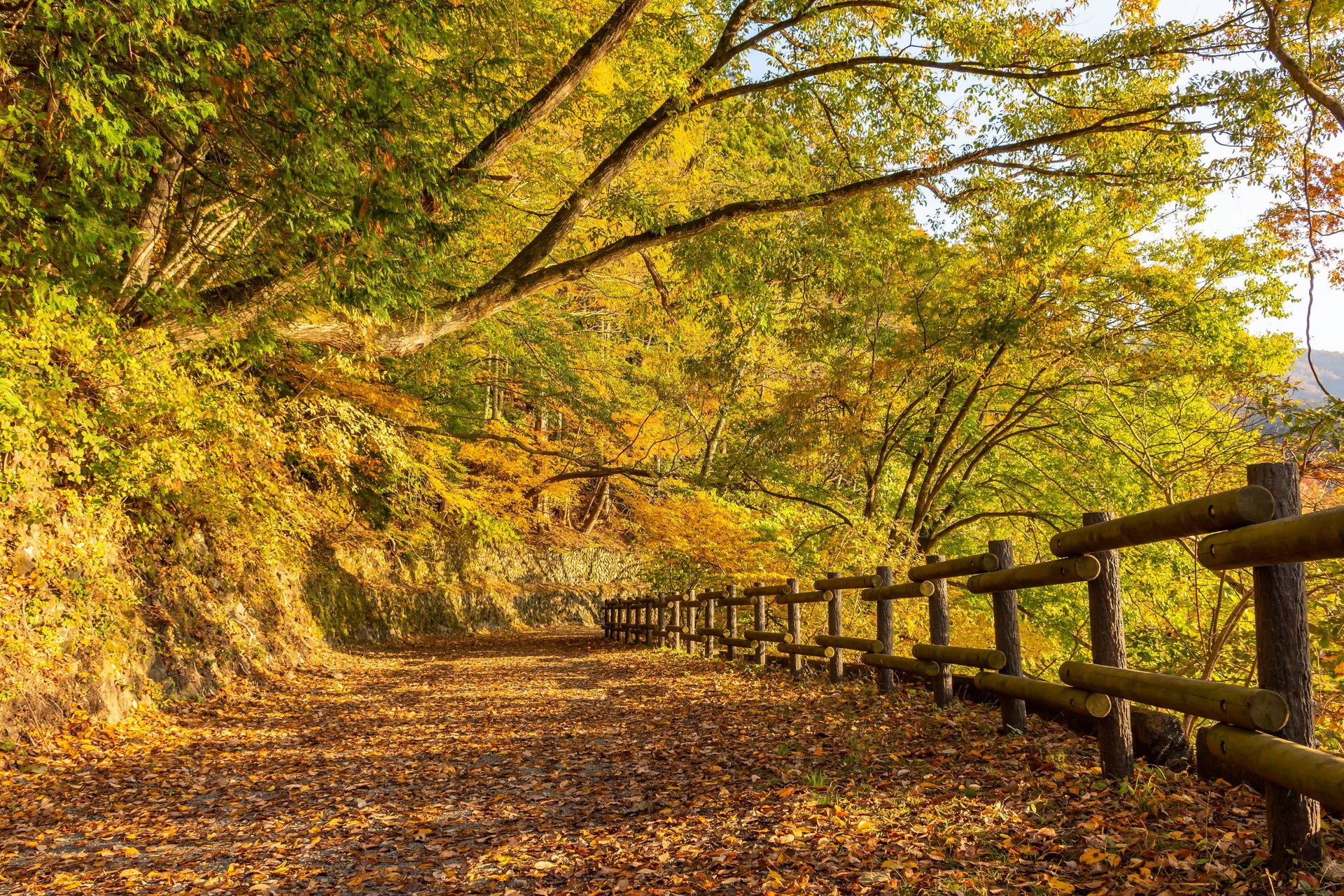 Welcome Autumn: How to Prepare Your Home for Fall
